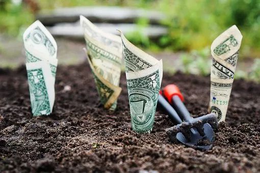 比特币黄金创始人廖翔：从游戏到区块链技术的布道者之路