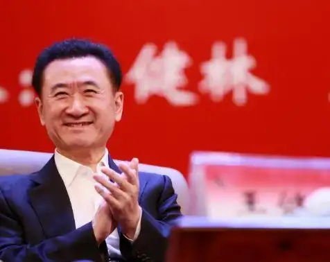 王者归来：王健林的商业智慧_王健林重回巅峰_王健林重回首富